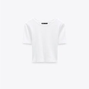 ZARA Ribbed Crop Top